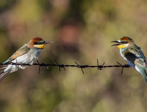 Fotoğraf Çekimlerinden, Eylül 2018