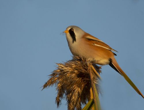 Fotoğraf Çekimlerinden, Ekim 2018