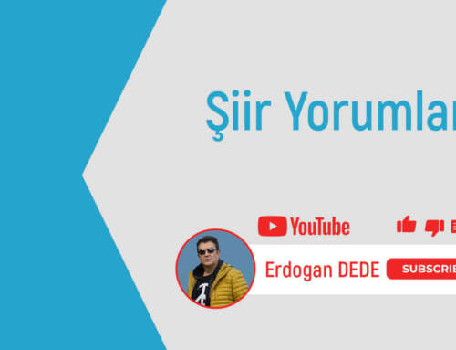 Şiir Yorumları